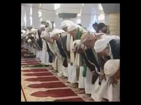 Zeydi Məzhəbində Namaz - Zeydiyyə (Əhli-Beyt) Məzhəbi