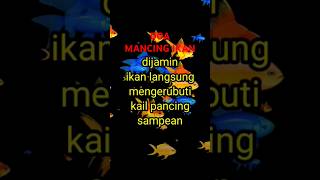 Download lagu DOA AMPUH MANCING IKAN #shorts #shortvideo mp3 Download lagu DOA AMPUH MANCING IKAN #shorts #shortvideo mp3