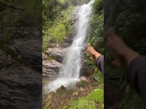 Conozcan la cascada las golondrinas #huila #turismo #viajes #cascadas