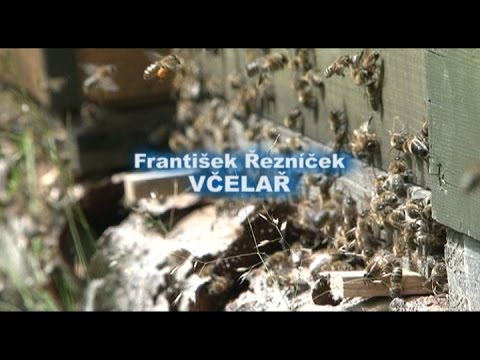 Kvalita z Hlinecka 1: František Řezníček — video na YouTube