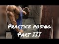 Practice Posing Pt. III