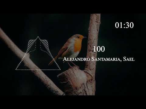 Alejandro Santamaria, Sael - 100