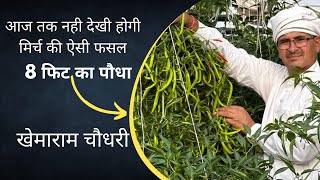 Download lagu #हरी मिर्च की खेती#green chilly #by kisan khemaram choudhary mp3