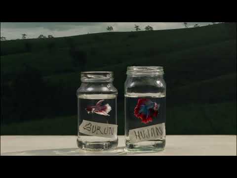 1 JAM GURUN HUJAN JUICY LUICY | TANPA IKLAN