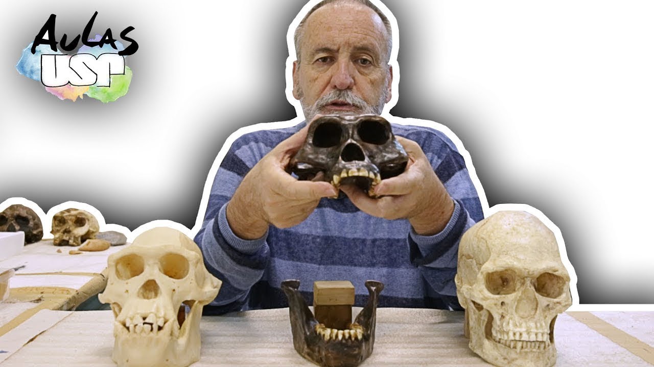 A Saga da Humanidade -- Aula 4 (Sahelanthropus tchadensis)