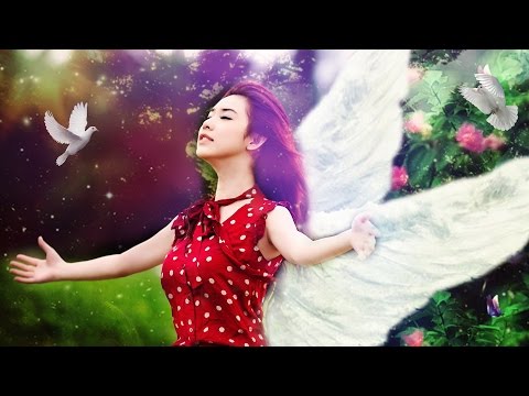 Music Video | Bird In Hand - Audionautix - Relaxing Pop | Bright Music