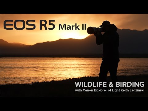 CANON EOS R5 MARK II