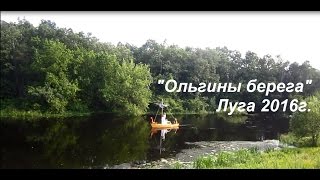 Ольгины берега Луга 2016 г.