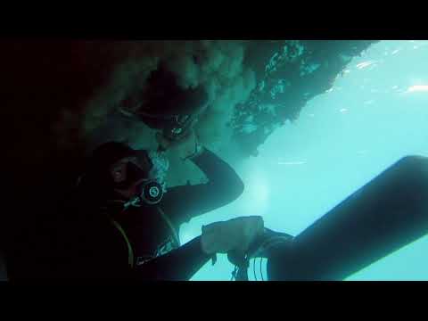 STINGRAY STEALTH SYSTEM