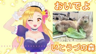 北九州とハッピー町について＋ざっくり生い立ち！【あやみんのゆるラジオ★1】