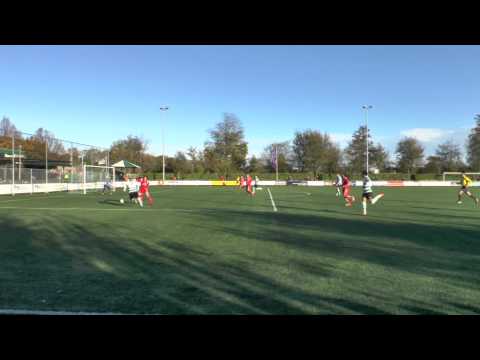 Samenvatting Heinenoord-Zwaluwen