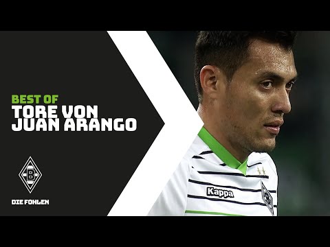 Die schönsten Tore von Juan Arango | Best of Borussia