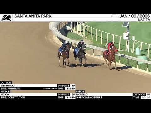 Millie Ball previews the San Pasqual at Santa Anita Park