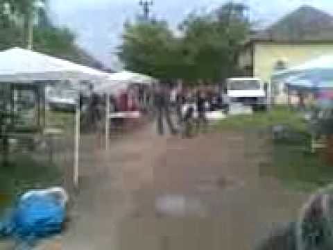 ruga sanmartinul sarbesc 2