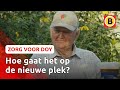 Doy gaat EINDELIJK verhuizen | Zorg voor Doy #8