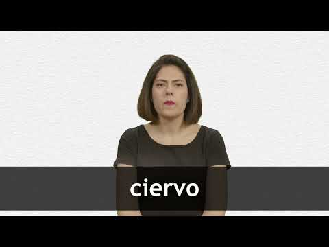 How to pronounce CIERVO in European Spanish