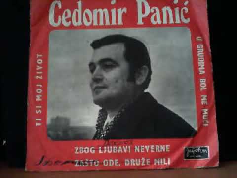 Cedomir Panic Ti si moj zivot 1970