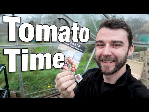 Too Early for Tomatoes? Let's Find Out!