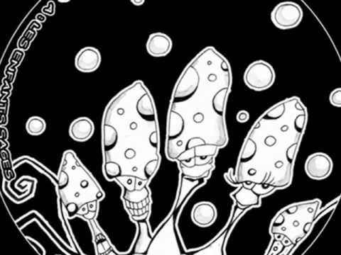 STATIK TRAVEL 06 - Wako - B1