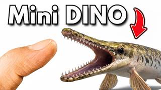 I Got a Pet Dinosaur (Yes, Really)
