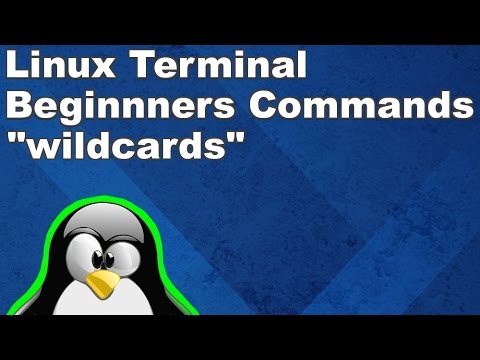 Linux Terminal for Beginners Commands 17: Wildcards