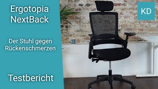 Ergonomischer Bürostuhl gegen Rückenschmerzen im Test // ERGOTOPIA NEXTBACK