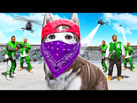 GTA 5 als GANG HUND spielen!