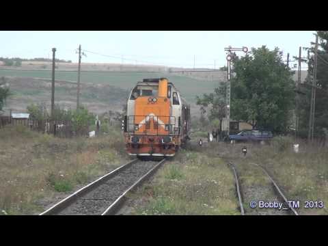 Sosirea trenului Botosani - Timisoara Nord in Leorda