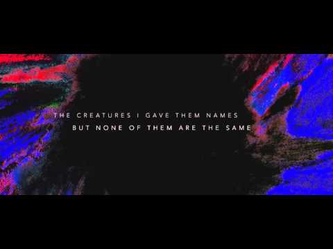 Forrest Clay - At Last  - (OFFICIAL LYRIC VIDEO)