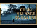 Cele Mai Bune POVESTI De GROAZA Din Luna IUNIE