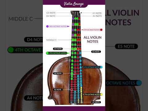 All violin notes and octaves #shorts