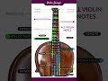 All violin notes and octaves #shorts