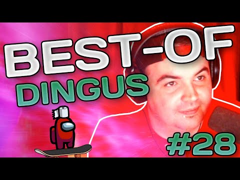 Best-Of Dingus #28 (Among Us)