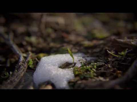 Tifħira lil Malta - Adattament tal-poeżija ta'  Ġan Anton Vassallo (Francesca Mercieca)