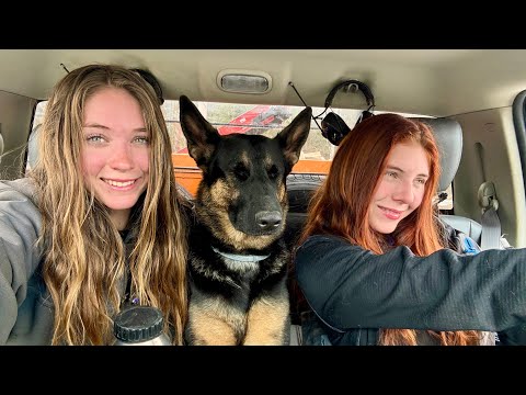 Join Us on the Last Firewood Delivery of 2025