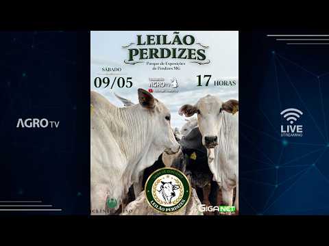 LEILÃO PERDIZES - 09/05/2026