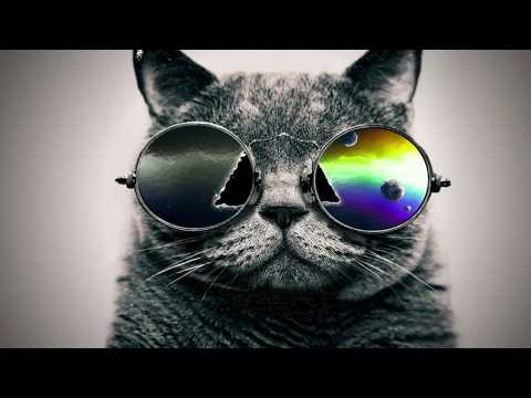 5 músicas eletrônicas mais loucas