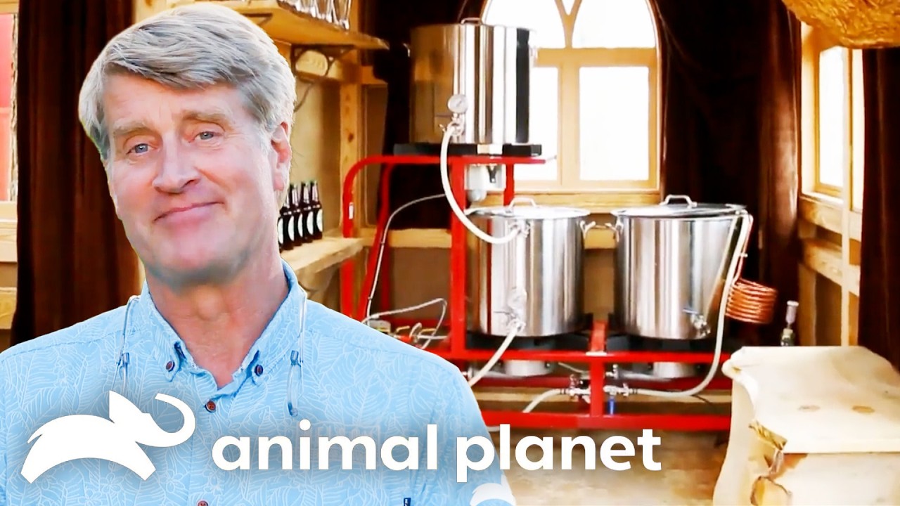 These Treehouses Have Spirits! (Mini Bars) | Treehouse Masters | Animal Planet