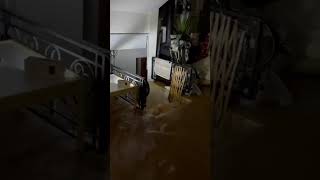 הצפה בבית באלקנה