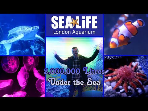 A trip under the sea with Sea life London