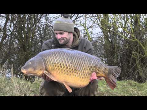 Darrell Peck Lands a Winter 40lb Common