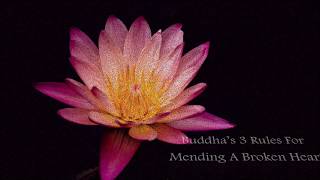 Buddha’s 3 Rules For Mending A Broken Heart