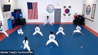 Live Class - Little Tiger & Yellow Stripe - 5.26.20 @ 3pm