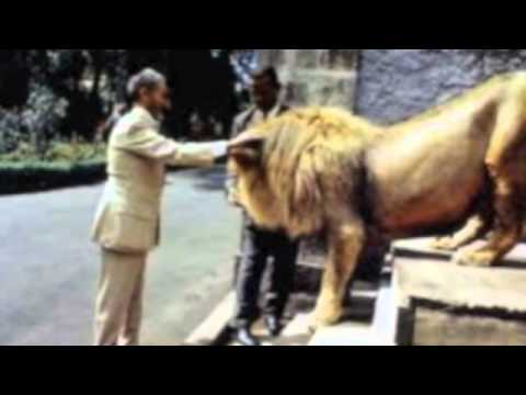 Nello B  Militant pon dem