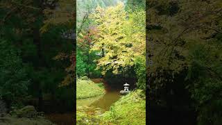 Kyoto: Where Fall Leaves Turn Liquid Gold 🍂