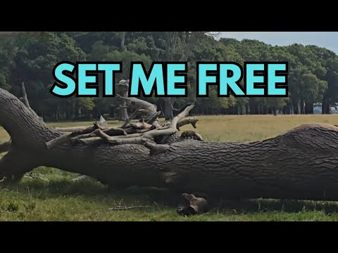 SET ME FREE – Original Gospel Song (Official)