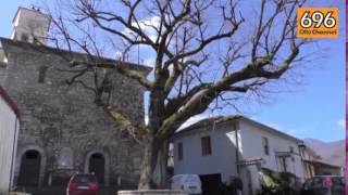 roccabascerana-in-ansia-per-lo-storico-tiglio