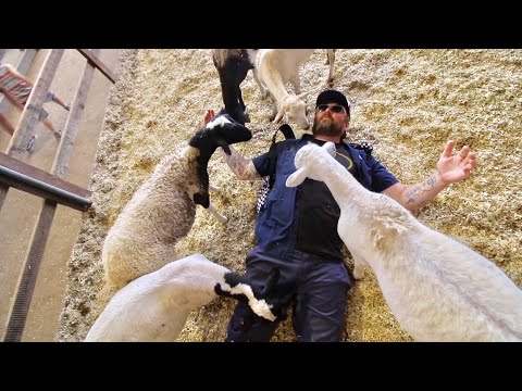 TDW 1896 - Things Got Crazy At L.A. County Fair