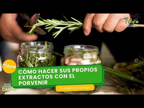 Cómo hacer sus propios extractos con "El Porvenir"- TvAgro por Juan Gonzalo Angel Restrepo