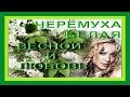 ЧЕРЁМУХА БЕЛАЯ Марины Журавлёвой 